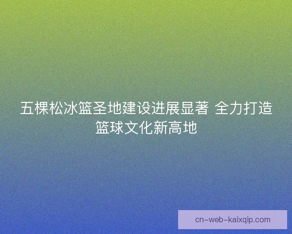 五棵松冰篮圣地建设进展显著 全力打造篮球文化新高地
